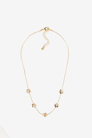 Cecilia Collar
