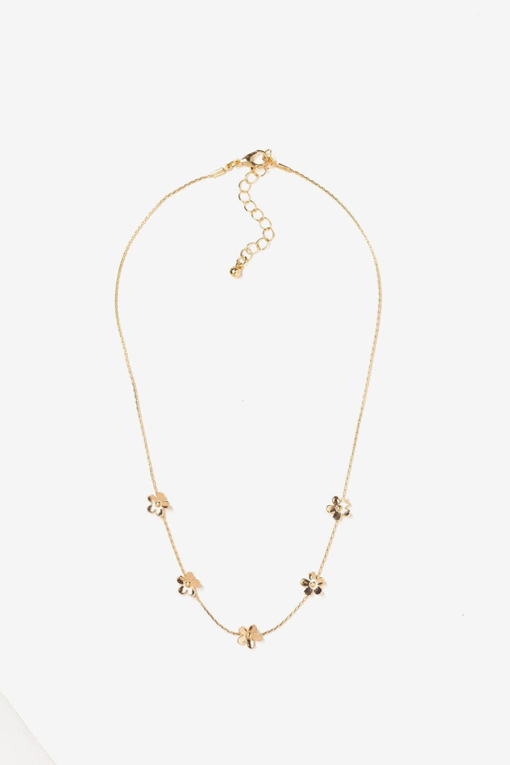 Cecilia Collar