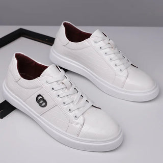 Urban Croco